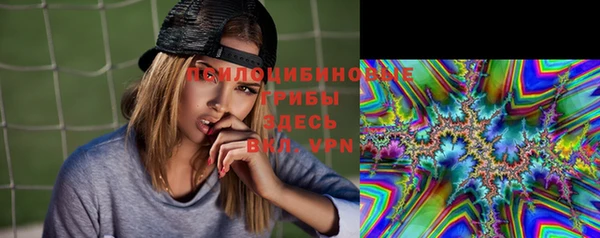 синтетический гашиш Алексеевка
